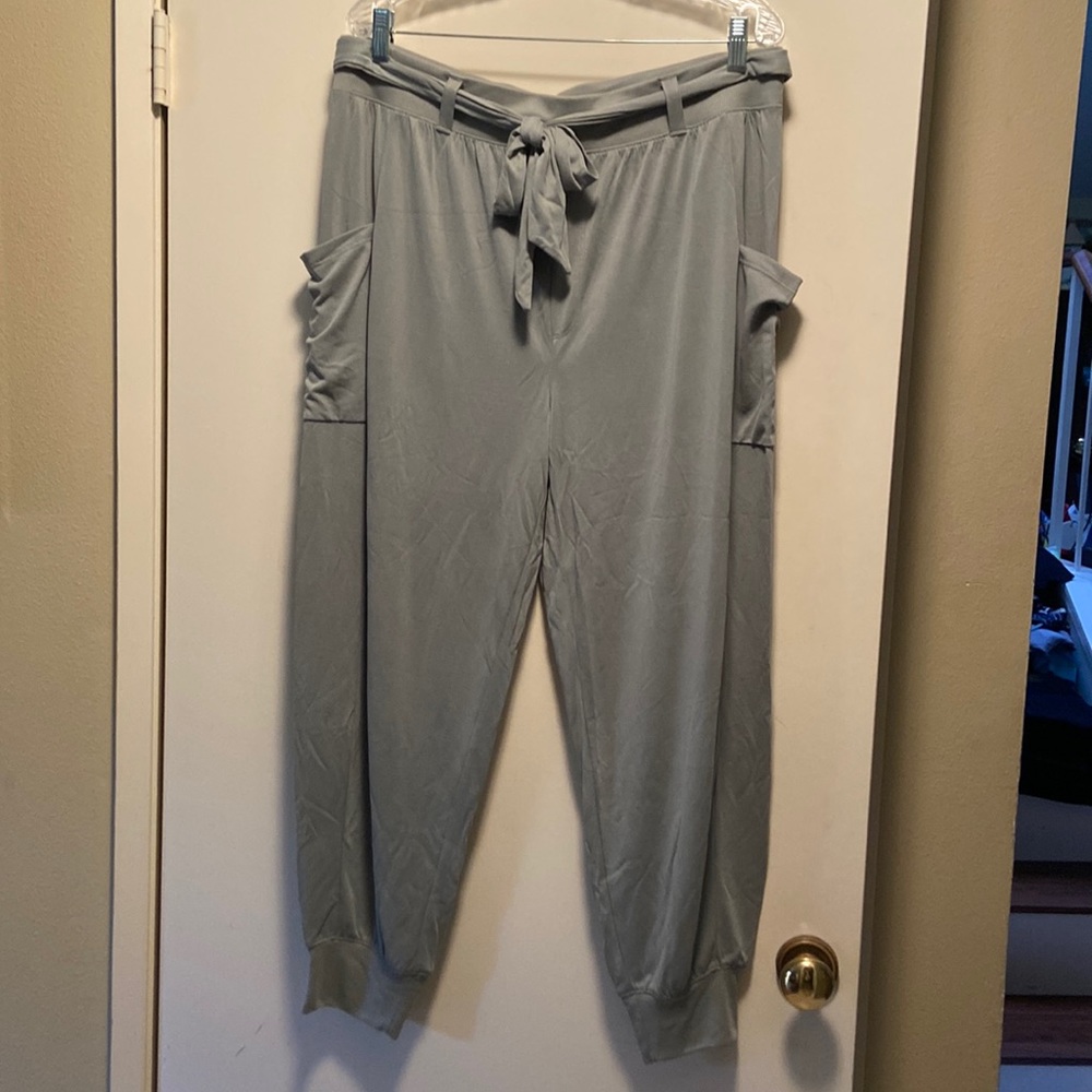 Aerie jogger style comfort pant. Sage green color, size XL